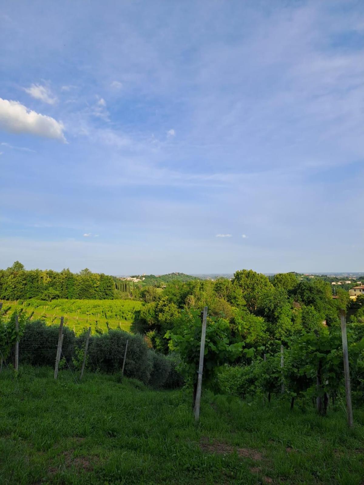 Casa Di Tuco Bed & Breakfast Conegliano Exterior photo