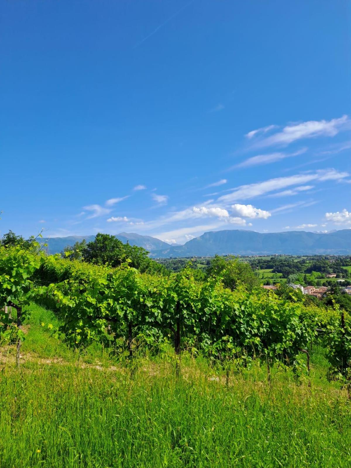 Casa Di Tuco Bed & Breakfast Conegliano Exterior photo